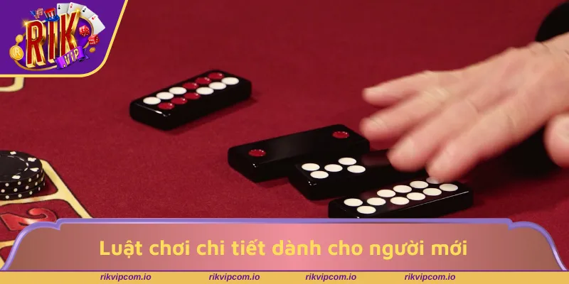 Luật chơi chi tiết dành cho người mới