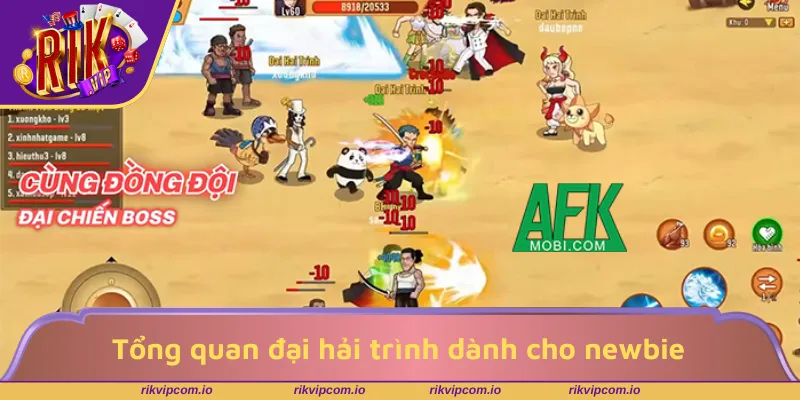 Tổng quan đại hải trình dành cho người mới bắt đầu