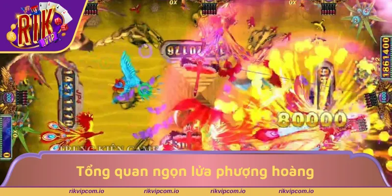 Tổng quan ngọn lửa phượng hoàng cho người mới chơi